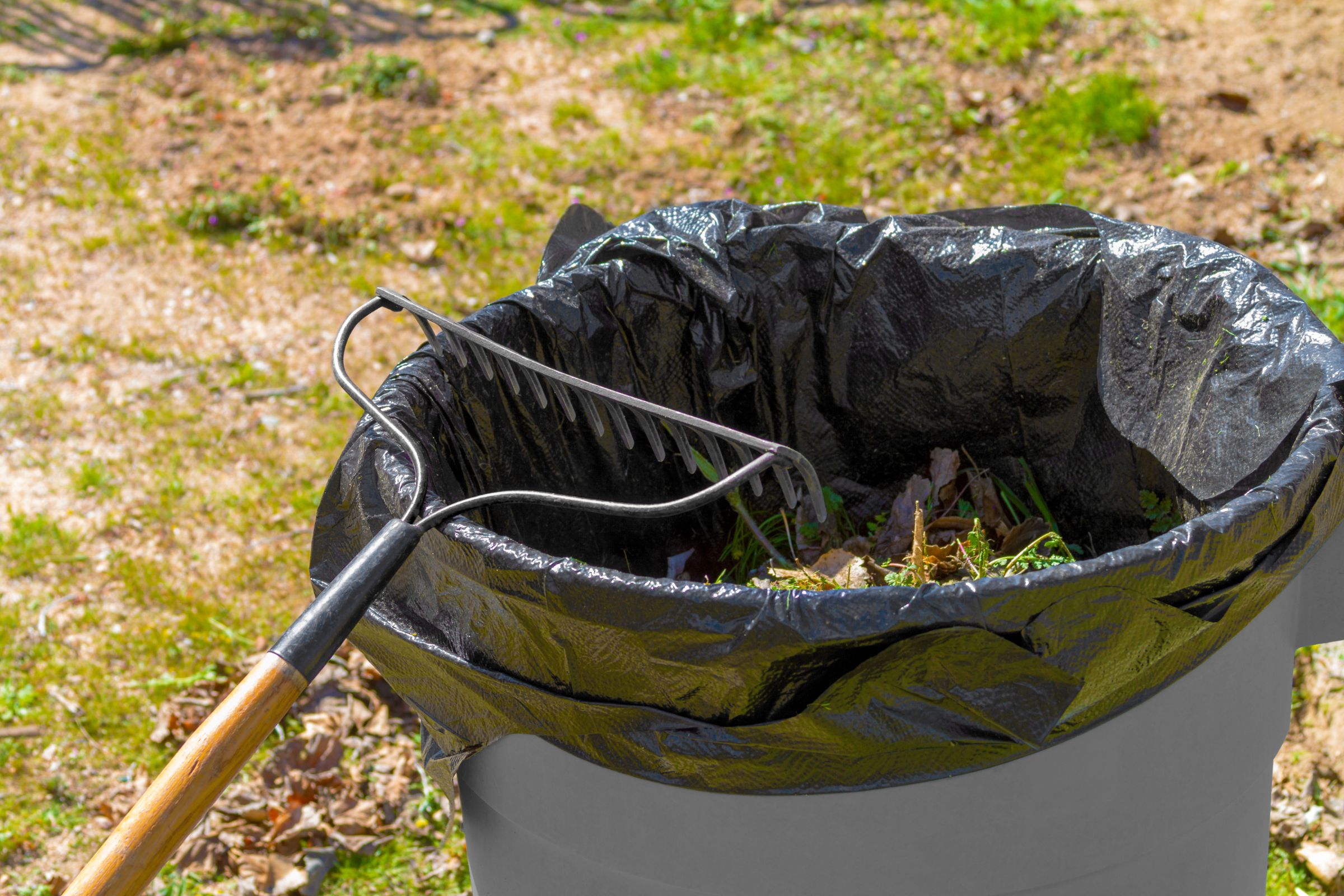 Eco-Friendly yard waste cleanup