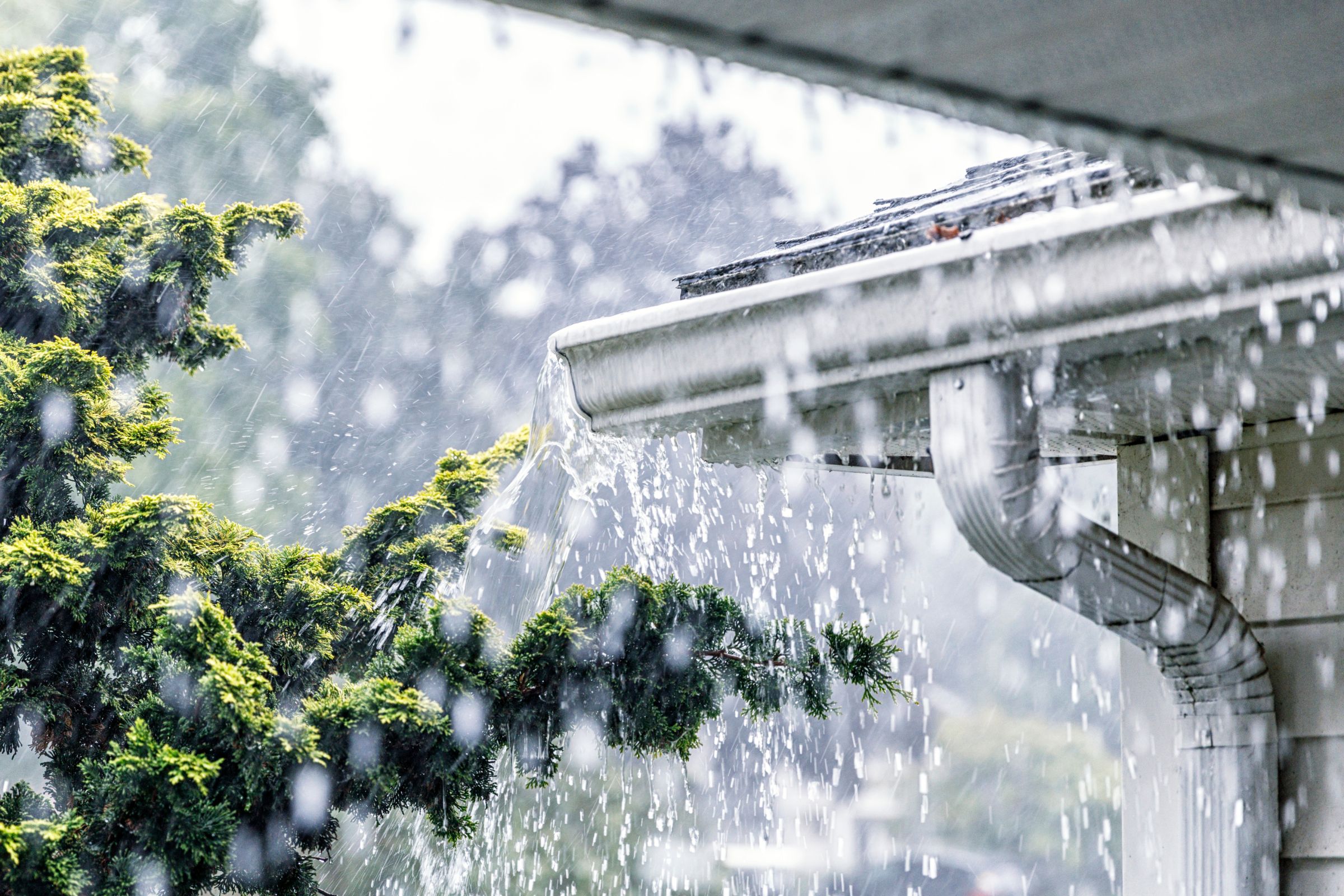 waste management and stormwater pollution